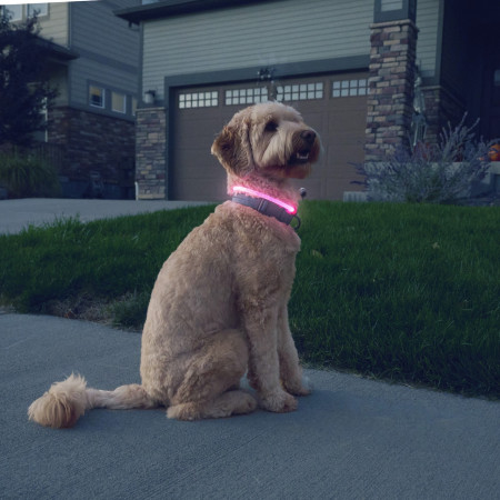Nite Ize NiteHowl® Rechargeable LED Safety Necklace világító kutyanyakörv