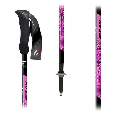 Fizan Compact MS túrabot