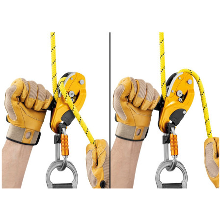 Petzl Rig sífék