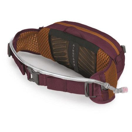 Osprey Seral 4 övtáska