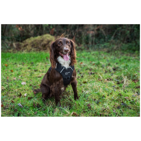Mountain Paws Dog Harness kutyahám