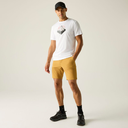 Regatta Anti-Insect Travel Light Shorts férfi rövidnadrág