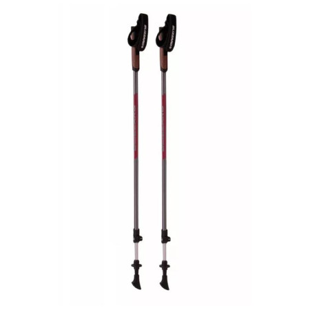 Blizzard Alu Performance nordic walking poles nordic walking túrabot