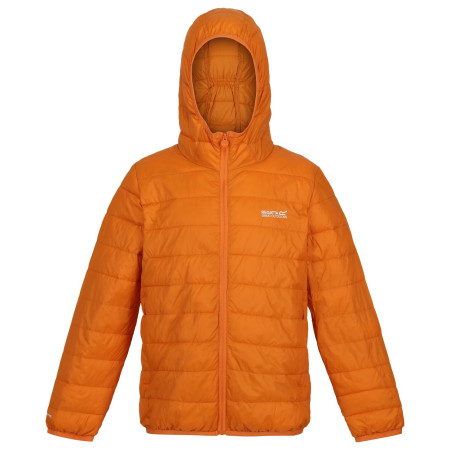 Regatta Jr Hooded Hillpck gyerek dzseki