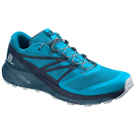 Férfi cipő Salomon Sense Ride 2 kék