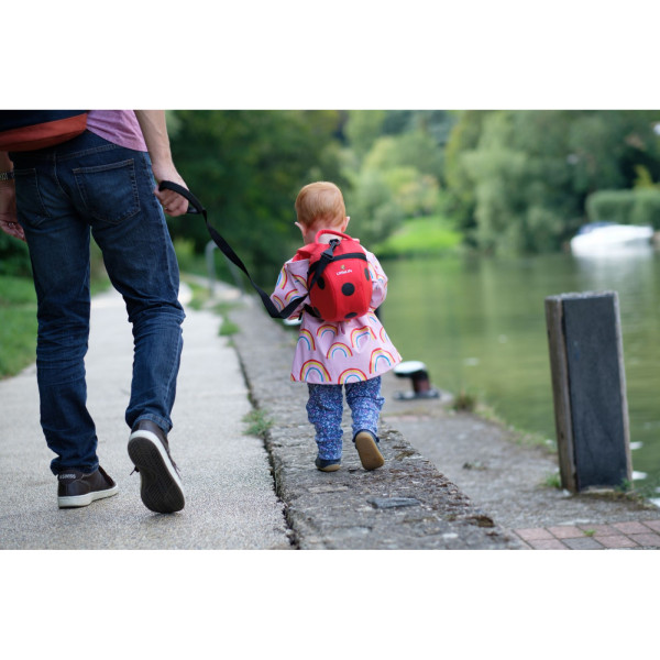 LittleLife Toddler Backpack - Ladybird gyerek hátizsák