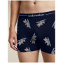 Icebreaker Men M 150 Anatomica Boxers BearTourAOP férfi sportboxer
