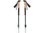 Túrabotok