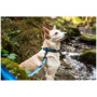 Mountain Paws Waterproof Dog Collar kutyanyakörv