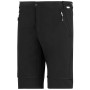 Regatta Mountain Z/O Trousers férfi nadrág