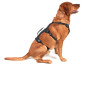 Mountain Paws 3-Strap Dog Harness kutyahám
