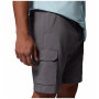 Columbia Silver Ridge™ Utility Cargo Short férfi rövidnadrág