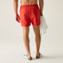 Regatta Mawson Swim Shorts III férfi fürdőnadrág