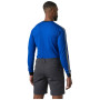 Helly Hansen HH Lifa Stripe Crew férfi funkcionális póló