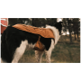 Ruffwear Overcoat Fuse™ Insulated Vest ruházat kutyáknak