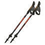 Fizan R-Evolution Pro nordic walking túrabot