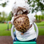 LittleLife Giraffe gyerek hátizsák