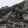 Adidas Terrex Eastrail Gtx női cipő