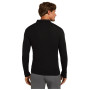 Icebreaker M 175 Everyday LS Half Zip férfi funkcionális póló