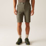Regatta Highton Shorts Long II férfi rövidnadrág