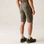 Regatta Highton Shorts Long II férfi rövidnadrág