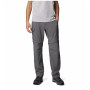 Columbia Silver Ridge™ Utility Convertible Pant férfi nadrág