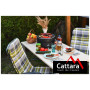 Cattara Keg grill