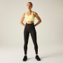 Dare 2b Dont SweatIt II Bra sport melltartó