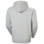Helly Hansen Core Graphic Hoodie férfi pulóver