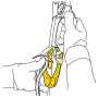 Petzl Rollclip A Triact-Lock karabiner