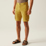Regatta Shorebay Shorts II férfi rövidnadrág