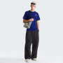The North Face Evolution Simple Dome Regular Short Sleeve Tee férfi póló