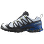 Salomon Xa Pro 3D V9 GTX Icon férfi futócipő