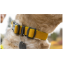 Ruffwear Hi & Light™ Collar kutyanyakörv
