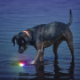 Nite Ize Glowstreak LED Ball játékszer kutyáknak