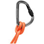 Mammut Workhorse HMS Screwgate Carabiner karabiner
