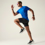 Dare 2b Accelerate Tee férfi póló