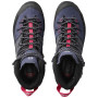 Női cipő Salomon X Alp High Ltr Gtx W