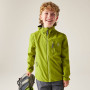 Dare 2b Kids Switch II Jacket GoldnCypress gyerek dzseki