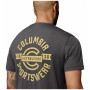 Columbia Parsons Point™ SS Back Graphic Tee férfi póló