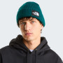The North Face Salty Lined Beanie sapka