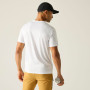 Regatta Fingal Graphic T-Shirt férfi póló