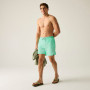 Regatta Mackleyna Swim Short férfi rövidnadrág