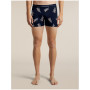 Icebreaker Men M 150 Anatomica Boxers BearTourAOP férfi sportboxer