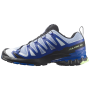 Salomon Xa Pro 3D V9 Icon férficipő