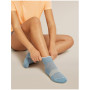 Icebreaker Women Multisport Light Mini női zokni