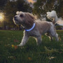 Nite Ize NiteHowl® Rechargeable LED Safety Necklace világító kutyanyakörv