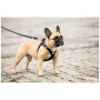 Curli Adjustable Leash Nylon kutyapóráz