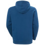 Helly Hansen HH Logo Hoodie férfi pulóver