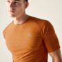 Dare 2b Power Up Tee férfi póló